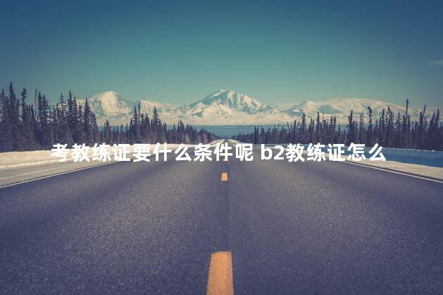 考教练证要什么条件呢 b2教练证怎么考